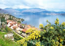 Villas in Lake Maggorie