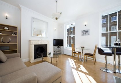 1 bedroom Apartment for rent in Central London/Zone 1