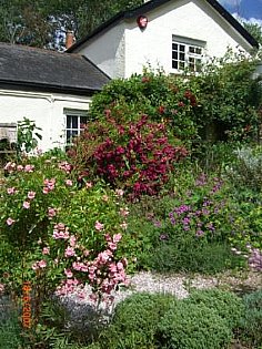 Ringmore House Cottage Shaldon Alpha Holiday Lettings
